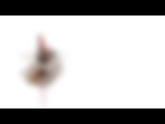 участок Stepper мотора 5v 2 постоянного магнита 10mm мини 18 градусов