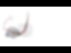 Мотор высокого прогресса двухфазовый Stepper с углом шага диаметра 35 Mm и 15 градусов